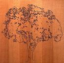 CNC Sample Work